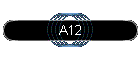 A12