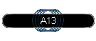 A13